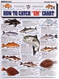UPC 738875000046 product image for Fishermans Saltwater Fish Chart #2 | upcitemdb.com
