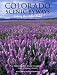 Search : Colorado Scenic Byways, Taking the Other Road