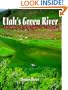 Utah's Green River: A Flyfisher's Guide to the Flaming George Tailwater