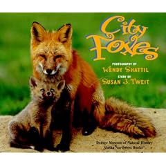 City Foxes
