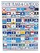 State Flags and Capitols 1000. Piece Jigsaw Puzzle by White Mountain Puzzles