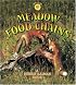 Meadow Food Chains
