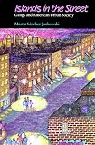 Islands in the Street: Gangs and American Urban Society