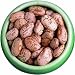 Pinto Beans