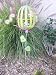 Easter Egg Yard Decoration Garden Green