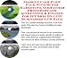 Massive