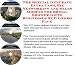 Book The Special Generate Extra Cash, Biz Networking and Sales Models for Bridal Shower Gifts Businesses 3 CD Combo Pack