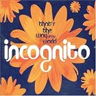 That's the Way of the World by Incognito