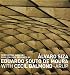 Books : Alvaro Siza and Eduardo Souto De Moura: Serpentine Gallery Pavilion 2005