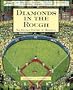 Diamonds in the Rough: The Untold History of Baseball