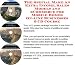 The Special Make An Extra Income, Sales Models and eCommerce for Mobile Homes On-line Businesses 3 CD Course