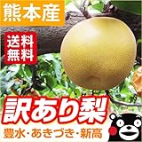 あいあい 熊本産 訳あり 梨・なし 今だけ30%OFF 豊水・あきづき・新高・新興 5kg あいあい 熊本産 訳あり 梨・なし 今だけ30%OFF 豊水・あきづき・新高・新興 5kg