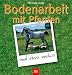 Bodenarbeit mit Pferden: Vertrauen, Respekt und Freundschaft des Pferdes gewinnen