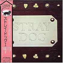Stray Dog