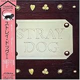 Stray Dogpar Stray Dog