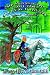 Book Sir Gawaine and the Green Knight: The Quest