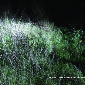 The Headlight Serenade