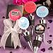 Personalized Expressions Collection wine bottle stopper favors