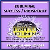 Subliminal Success Prosperity - Ocean Soundscape Track