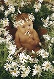Anne Geddes - Margarete, 500 Teile (Puzzle) - 
