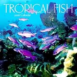 Tropical Fish 2006 Calendar