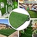 Petgrow Synthetic Artificial Grass Turf 5FTX8FT for Wedding Christmas Decorations Fence Backdrop Shop, Drainage Holes Indoor Outdoor Faux Grass Rug Carpet for Garden Balcony