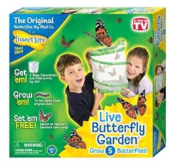 Insect Lore Live Butterfly Garden