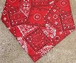 Miracool Dog Bandanas - Help Protect Your Dog From the Summer Heat Stress - Red Bandana