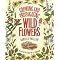 grow native plants