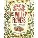 Growing and Propagating Wild Flowers