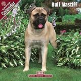 2009 Bull Mastiff Wall Calendar