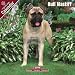 2009 Bull Mastiff Wall Calendar