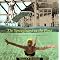 My favourite books about art and Mao's balls