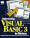 Understanding Visual Basic 3 for Windows