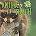 Animal Touch (Animals and Their Senses)