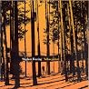 Image of album by Stephen Fearing