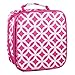 Insulated Water Resistant Lunch Bag (Pink Sadie)