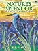 Nature's Splendor Stained Glass Pattern Book by Hanson