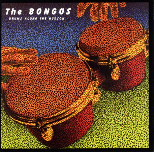 The Bongos - Drums Along the Hudson - Zortam Music
