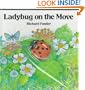 Ladybug on the Move