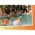 Wish You Were Here: Classic Florida Motel and Restaurant Advertising by Mr. Tim Hollis