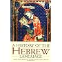 A History of the Hebrew Language by Angel Sáenz-Badillos