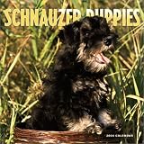 Schnauzer Puppies 2004 Calendar