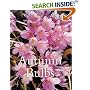 Autumn Bulbs