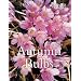 Autumn Bulbs