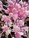 Book Autumn Bulbs