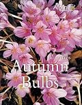 Autumn Bulbs