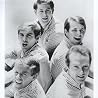 Image of The Beach Boys