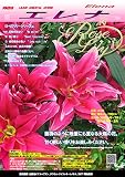 ゴージャスな八重咲百合球根 『ローズリリー・エレナ』大球×3球