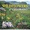 Great Colorado books